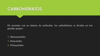 CARBOHIDRATOS
De acuerdos con su número de moléculas, los carbohidratos se dividen en tres
grandes grupos:
 Monosacáridos
 Disacáridos
 Polisacáridos
 