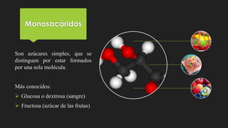 Monosacáridos
Son azúcares simples, que se
distinguen por estar formados
por una sola molécula.
Más conocidos:
 Glucosa o dextrosa (sangre)
 Fructosa (azúcar de las frutas)
 