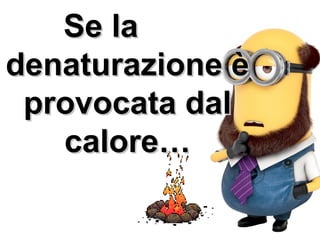 Se laSe la
denaturazione èdenaturazione è
provocata dalprovocata dal
calore…calore…
 