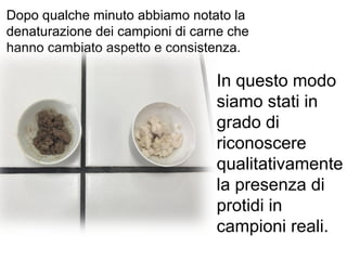 Dopo qualche minuto abbiamo notato la
denaturazione dei campioni di carne che
hanno cambiato aspetto e consistenza.
In questo modo
siamo stati in
grado di
riconoscere
qualitativamente
la presenza di
protidi in
campioni reali.
 