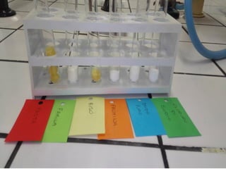 Si trasferiscono i campioni nei provettoni
 