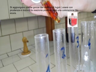 Si aggiungono poche gocce del reattivo di lugol ( usare con
prudenza è nocivo) la reazione positiva darà una colorazione blu
scura.
 