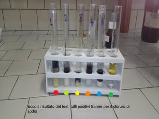 Ecco il risultato del test, tutti positivi tranne per il cloruro di
sodio
 