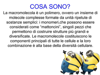 COSA SONO?
La macromolecola è un polimero, ovvero un insieme di
molecole complesse formate da unità ripetute di
sostanze semplici: i monomeri,che possono essere
considerati come “mattoncini”, singoli pezzi che
permettono di costruire strutture più grandi e
diversificate. Le macromolecole costituiscono le
componenti principali di tutte le cellule e la loro
combinazione è alla base della diversità cellulare.
 