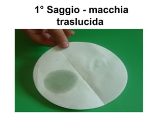 1° Saggio - macchia
traslucida
 