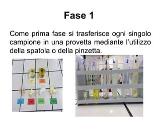Fase 1
Come prima fase si trasferisce ogni singolo
campione in una provetta mediante l’utilizzo
della spatola o della pinzetta.
 