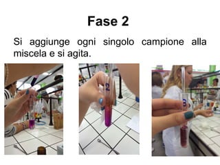 Fase 2
Si aggiunge ogni singolo campione alla
miscela e si agita.
 