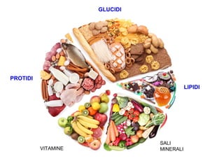 GLUCIDI
PROTIDI
LIPIDI
VITAMINE
SALI
MINERALI
 