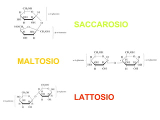 SACCAROSIO
MALTOSIO
LATTOSIO
 