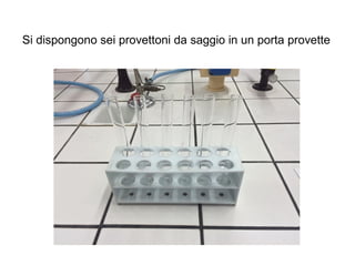 Si dispongono sei provettoni da saggio in un porta provette
 