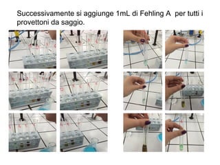 Successivamente si aggiunge 1mL di Fehling A per tutti i
provettoni da saggio.
 