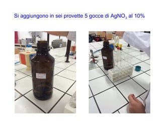 Si aggiungono in sei provette 5 gocce di AgNO3 al 10%
 