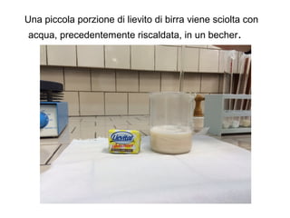 Una piccola porzione di lievito di birra viene sciolta con
acqua, precedentemente riscaldata, in un becher.
 