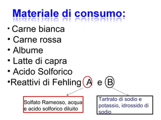 • Carne bianca
• Carne rossa
• Albume
• Latte di capra
• Acido Solforico
•Reattivi di Fehling A e B
Solfato Rameoso, acqua
e acido solforico diluito
Tartrato di sodio e
potassio, idrossido di
sodio
 