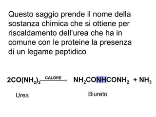 Questo saggio prende il nome della
sostanza chimica che si ottiene per
riscaldamento dell’urea che ha in
comune con le proteine la presenza
di un legame peptidico
2CO(NH2)2
CALORE
Urea Biureto
 
