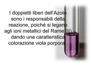 I doppietti liberi dell’Azoto
sono i responsabili della
reazione, poiché si legano
agli ioni metallici del Rame (II)
dando una caratteristica
colorazione viola porpora.
 