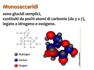 12
Monosaccaridi
sono glucidi semplici,
costituiti da pochi atomi di carbonio (da 3 a 7),
legato a idrogeno e ossigeno.
 
