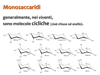 13
Monosaccaridi
generalmente, nei viventi,
sono molecole cicliche (cioè chiuse ad anello).
 