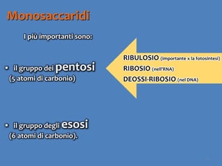 17
Monosaccaridi
I più importanti sono:
 il gruppo dei pentosi
(5 atomi di carbonio)
 il gruppo degli esosi
(6 atomi di carbonio).
RIBULOSIO (importante x la fotosintesi)
RIBOSIO (nell’RNA)
DEOSSI-RIBOSIO (nel DNA)
 