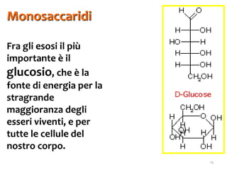 19
Fra gli esosi il più
importante è il
glucosio, che è la
fonte di energia per la
stragrande
maggioranza degli
esseri viventi, e per
tutte le cellule del
nostro corpo.
Monosaccaridi
 