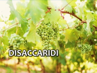 DISACCARIDI
 