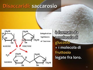 29
è formato da
1 molecola di
glucosio
+ 1 molecola di
fruttosio
legate fra loro.
Disaccaridi: saccarosio
 