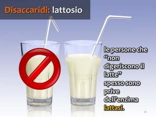 34
le persone che
“non
digeriscono il
latte”
spesso sono
prive
dell’enzima
lattasi.
Disaccaridi: lattosio
 