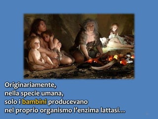 35
Originariamente,
nella specie umana,
solo i bambini producevano
nel proprio organismo l’enzima lattasi…
 