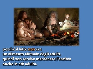 36
perché il latte non era
un alimento abituale degli adulti,
quindi non serviva mantenere l’enzima
anche in età adulta.
 