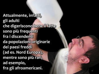 41
Attualmente, infatti,
gli adulti
che digeriscono bene il latte
sono più frequenti
fra i discendenti
da popolazioni originarie
dei paesi freddi
(ad es. Nord Europa),
mentre sono più rari,
ad esempio,
fra gli afroamericani.
 