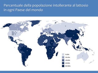 Percentuale della popolazione intollerante al lattosio
in ogni Paese del mondo
 
