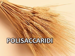 POLISACCARIDI
 