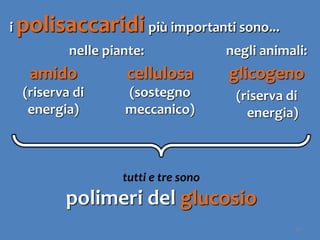 47
nelle piante: negli animali:
amido
(riserva di
energia)
cellulosa
(sostegno
meccanico)
glicogeno
(riserva di
energia)
tutti e tre sono
polimeri del glucosio
i polisaccaridi più importanti sono...
 