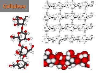 58
Cellulosa
 