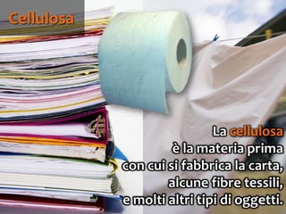 61
La cellulosa
è la materia prima
con cui si fabbrica la carta,
alcune fibre tessili,
e molti altri tipi di oggetti.
Cellulosa
 