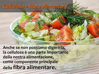 66
Anche se non possiamo digerirla,
la cellulosa è una parte importante
della nostra alimentazione,
come componente principale
della fibra alimentare.
Cellulosa = fibra alimentare
 