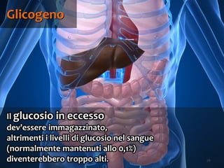 70
Il glucosio in eccesso
dev’essere immagazzinato,
altrimenti i livelli di glucosio nel sangue
(normalmente mantenuti allo 0,1%)
diventerebbero troppo alti.
Glicogeno
 