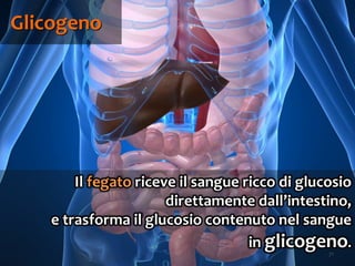 71
Il fegato riceve il sangue ricco di glucosio
direttamente dall’intestino,
e trasforma il glucosio contenuto nel sangue
in glicogeno.
Glicogeno
 