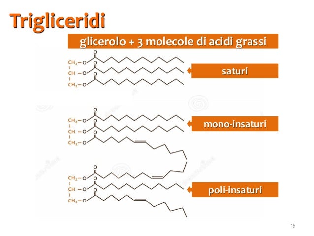 Da Cosa Sono Formati I Trigliceridi Biomolecole 3. lipidi