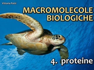 1
BIOMOLECOLE
Vittoria Patti
4. proteine
 