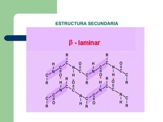 ESTRUCTURA SECUNDARIA 
