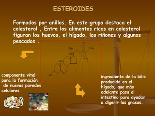 Formados por anillos. En este grupo destaca el colesterol , Entre los alimentos ricos en colesterol figuran los huevos, el hígado, los riñones y algunos pescados . ESTEROIDES   componente vital  para la formación de nuevas paredes celulares  ingrediente de la bilis producida en el hígado, que más adelante pasa al intestino para ayudar a digerir las grasas.  