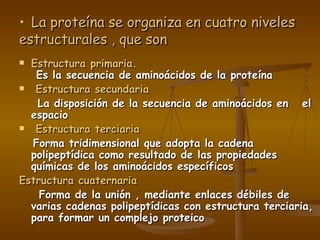   La proteína se organiza en cuatro niveles estructurales , que son Estructura primaria.    Es la secuencia de aminoácidos de la proteína       Estructura secundaria La disposición de la secuencia de aminoácidos en  el espacio   Estructura terciaria   Forma tridimensional que adopta la cadena polipeptídica como resultado de las propiedades químicas de los aminoácidos específicos Estructura cuaternaria      Forma de la unión , mediante enlaces débiles de varias cadenas polipeptídicas con estructura terciaria, para formar un complejo proteico   