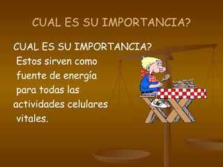 CUAL ES SU IMPORTANCIA? CUAL ES SU IMPORTANCIA? Estos sirven como fuente de energía para todas las  actividades celulares vitales.  