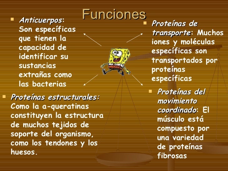Macromoleculas biologicas