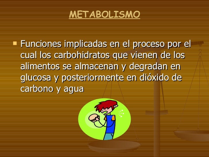 Macromoleculas biologicas