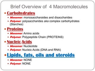 Think of a beaded bracelet….