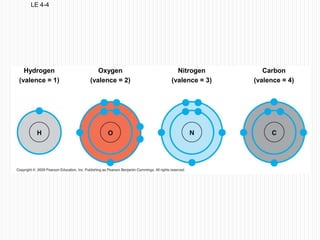 LE 4-4Hydrogen(valence = 1)Oxygen(valence = 2)Nitrogen(valence = 3)Carbon(valence = 4)