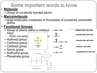 Some important words to knowMoleculeGroup of covalently bonded atomsMacromoleculelarge molecules composed of thousands of covalently connected atomsFunctional GroupsGroup of atoms within a molecule that interact in PREDICTABLE waysPolar, non-polar, acidic, basic, charged (+/-)Hydroxyl groupCarbonyl group  Carboxyl groupAmino groupSulfhydryl groupPhosphate group