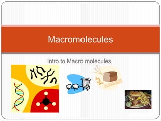 Intro to Macro molecules Macromolecules 
